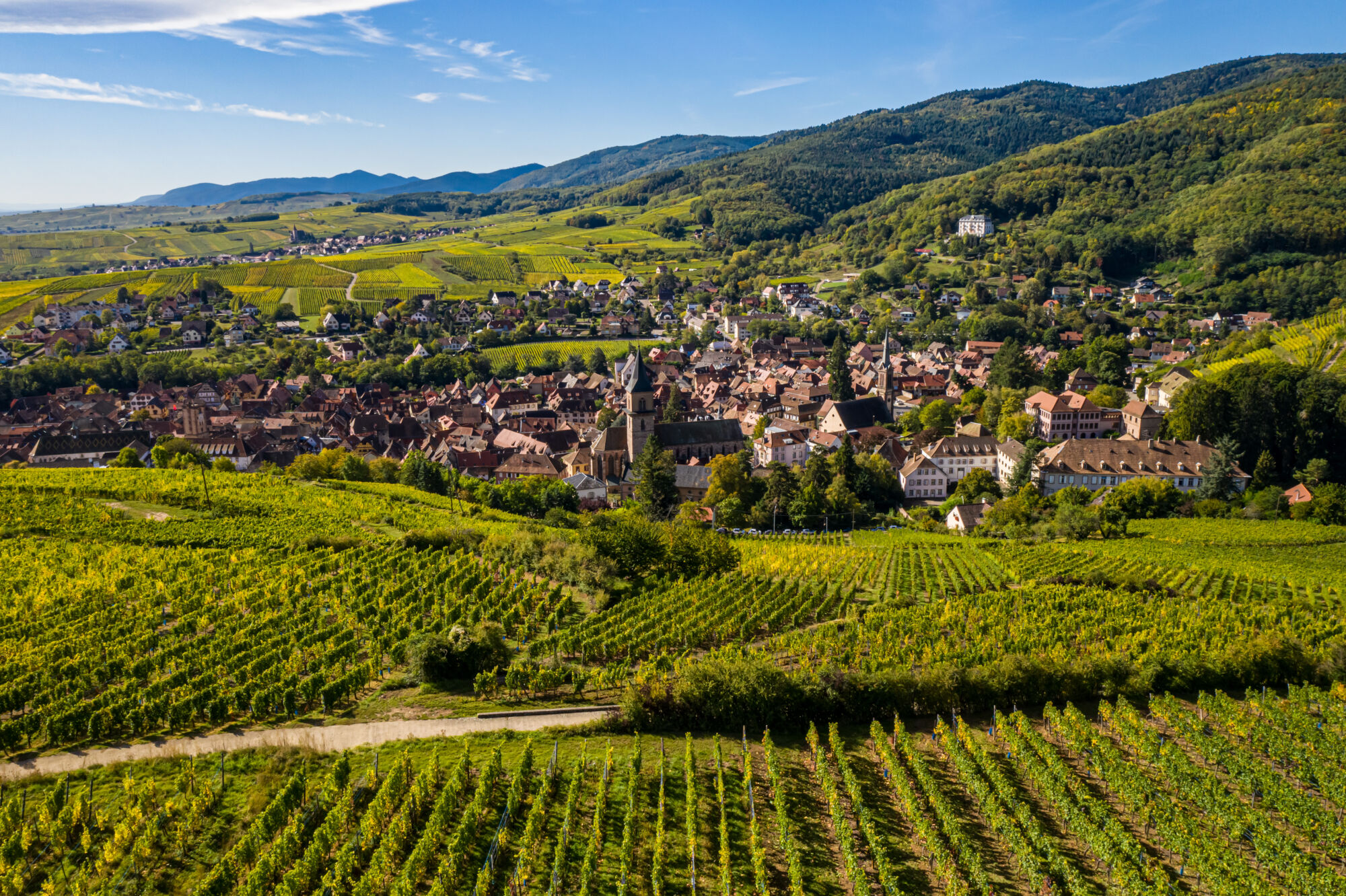 RIBEAUVILLE VIGNOBLE | Agence immobilière Pierre à Colmar Agence immobilière à Ribeauvillé Marckolsheim 0