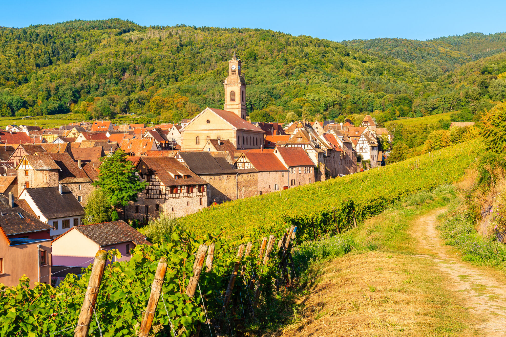 Agence immobilière Riquewihr Sainte-Croix-en-Plaine 0