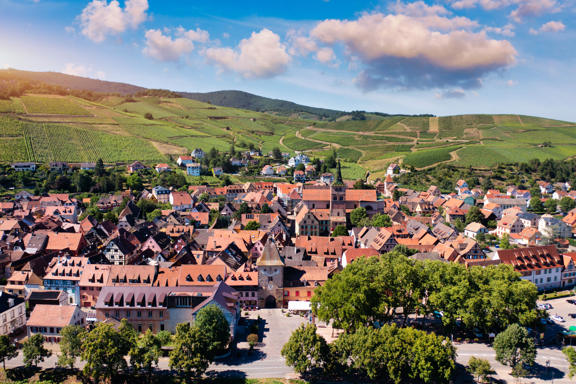 Agence immobilière à Turckheim Kaysersberg 1