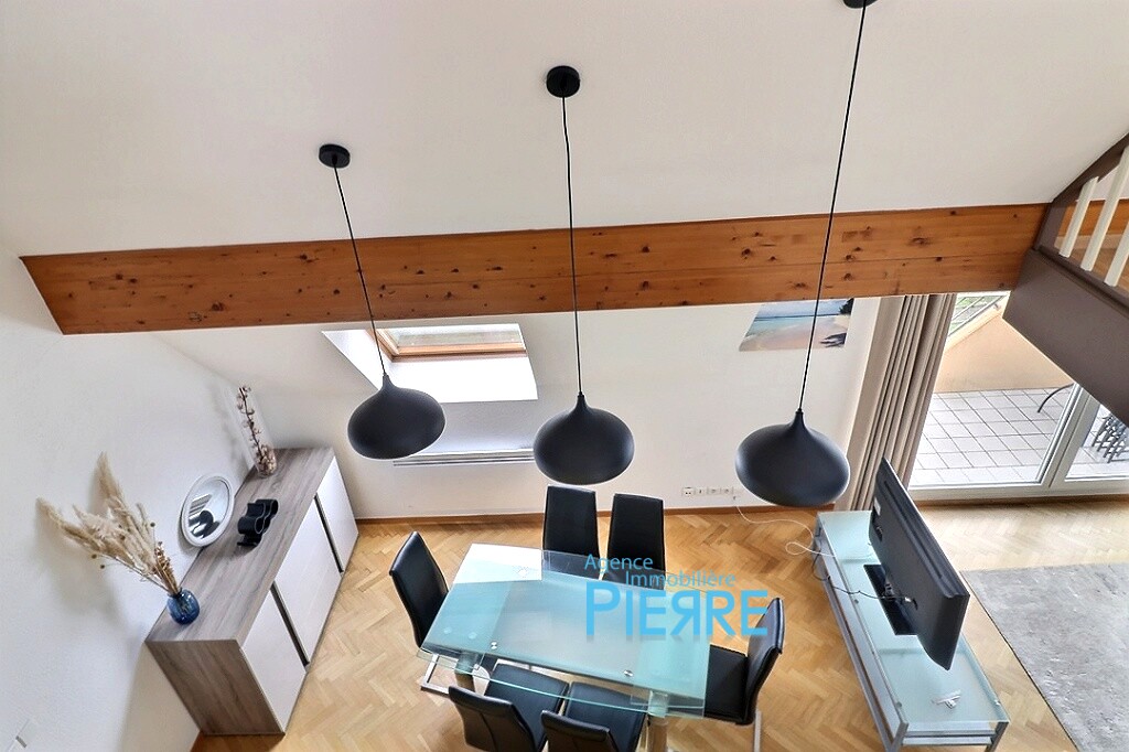 0_0009 100X100 | Agence immobilière Pierre à Colmar Quartier des maraichers Duplex meublé avec balcon plein ouest avec vue dégagée, cave et garage Labaroche 0