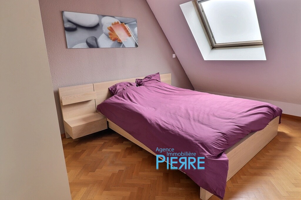 0_0011 100X100 | Agence immobilière Pierre à Colmar Quartier des maraichers Duplex meublé avec balcon plein ouest avec vue dégagée, cave et garage Labaroche 0