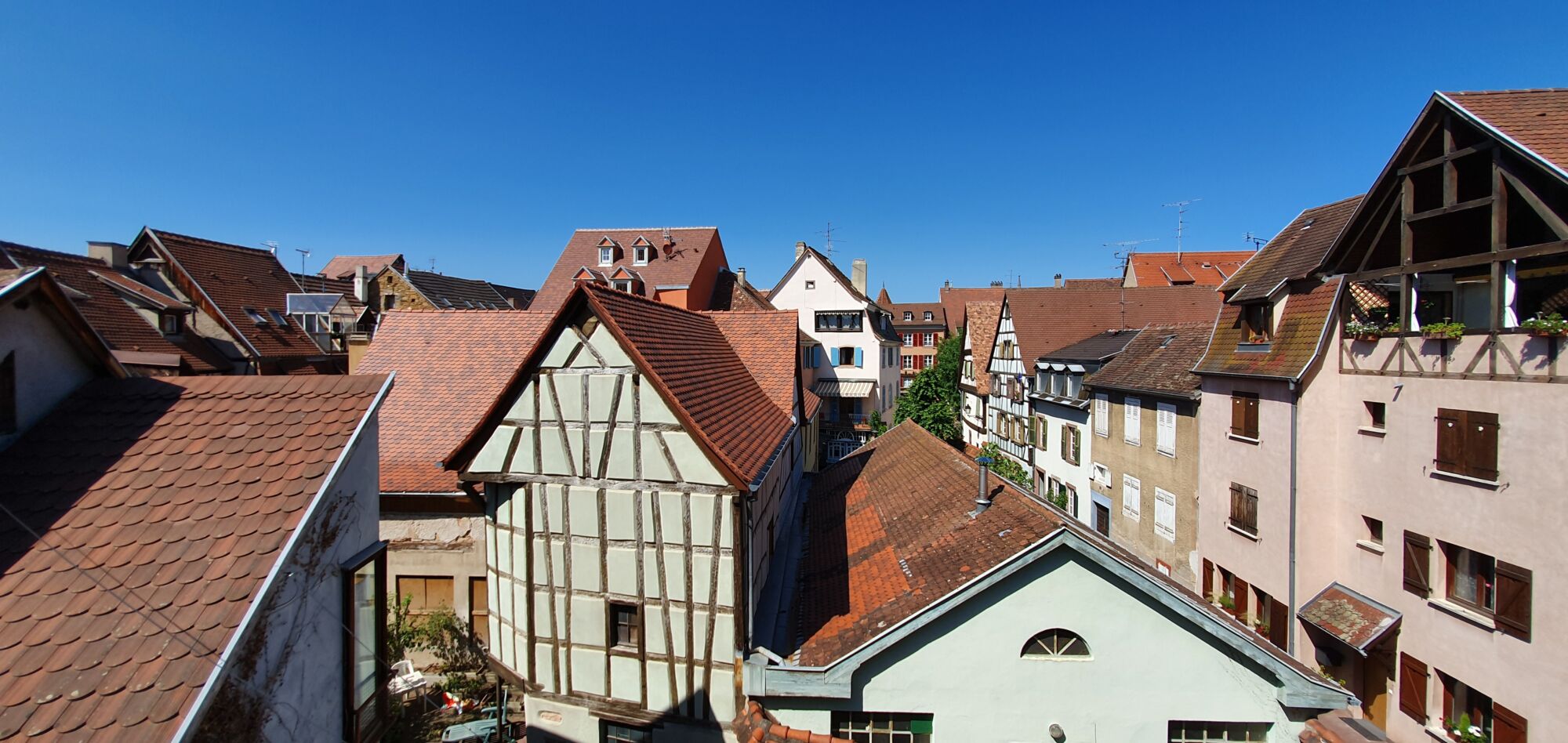 F1 26 m2 meublé centre Colmar Ribeauville 0