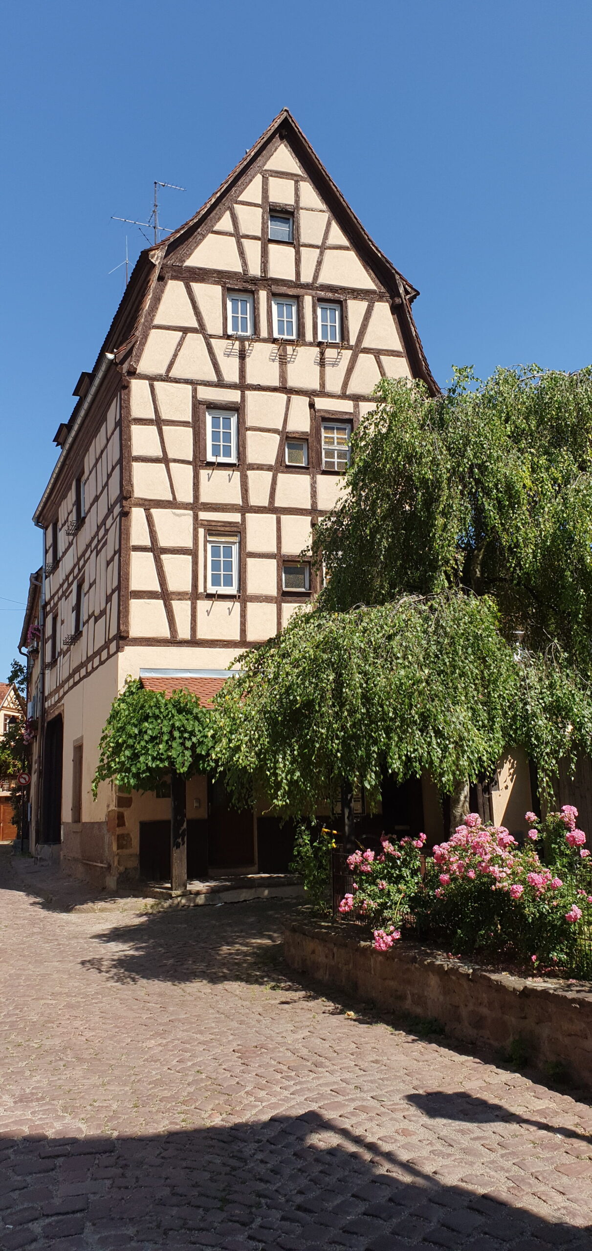 F1 26 m2 meublé centre Colmar Ribeauville 0