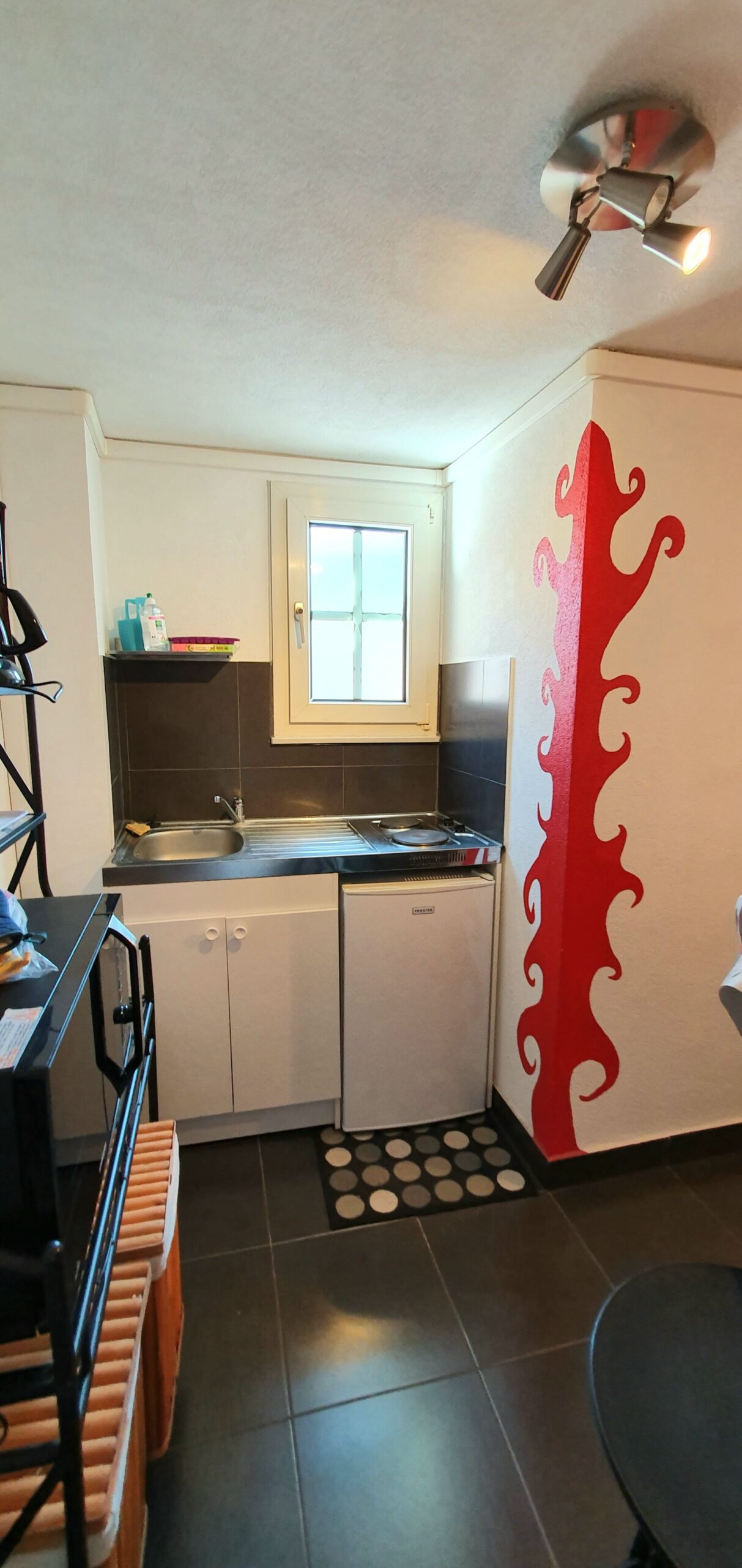 F1 26 m2 meublé centre Colmar Ribeauville 0