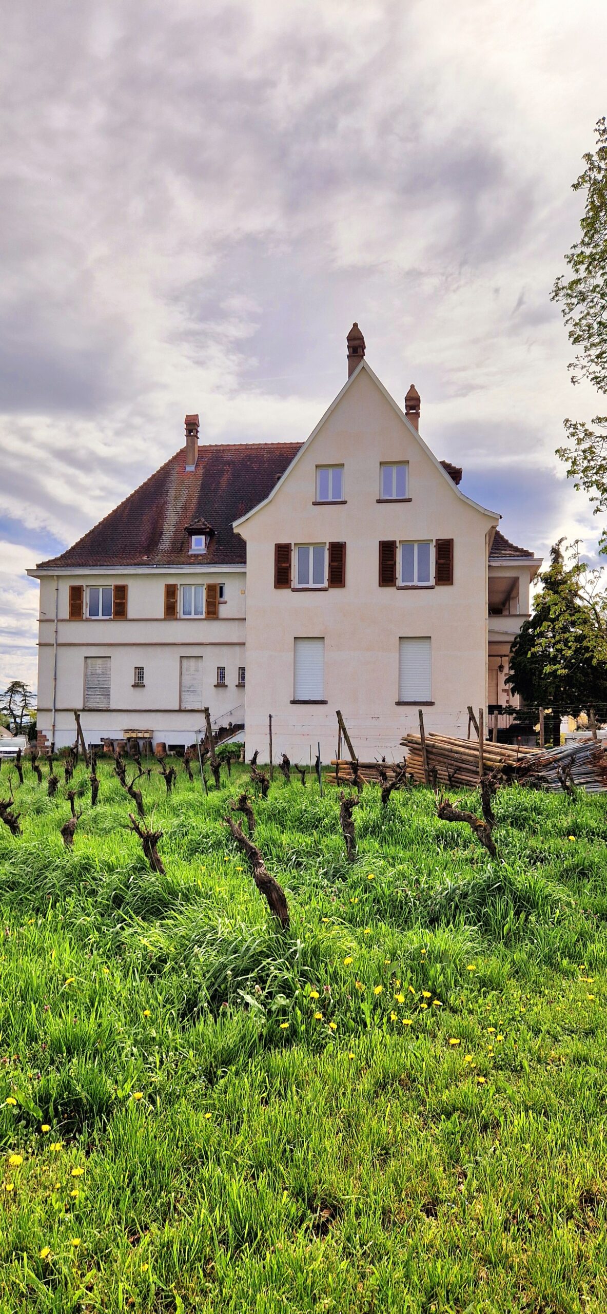 F2 meublé à Mittelwihr 36 m2 Sainte-Croix-en-Plaine 0