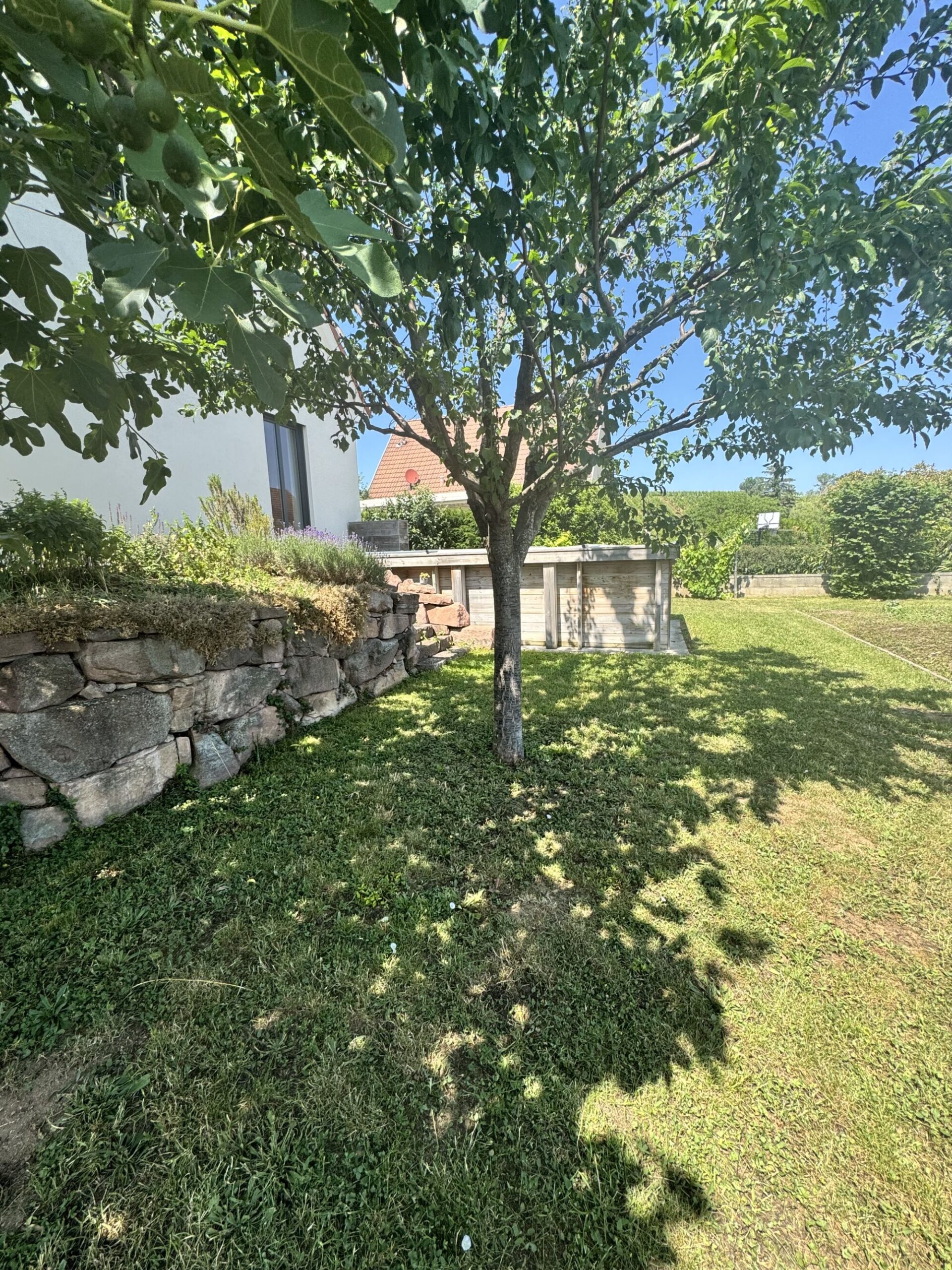 VENDU &#8211; VIGNOBLE à Mittelwihr &#8211; Maison avec vue sur le vignoble Sainte-Croix-en-Plaine 0