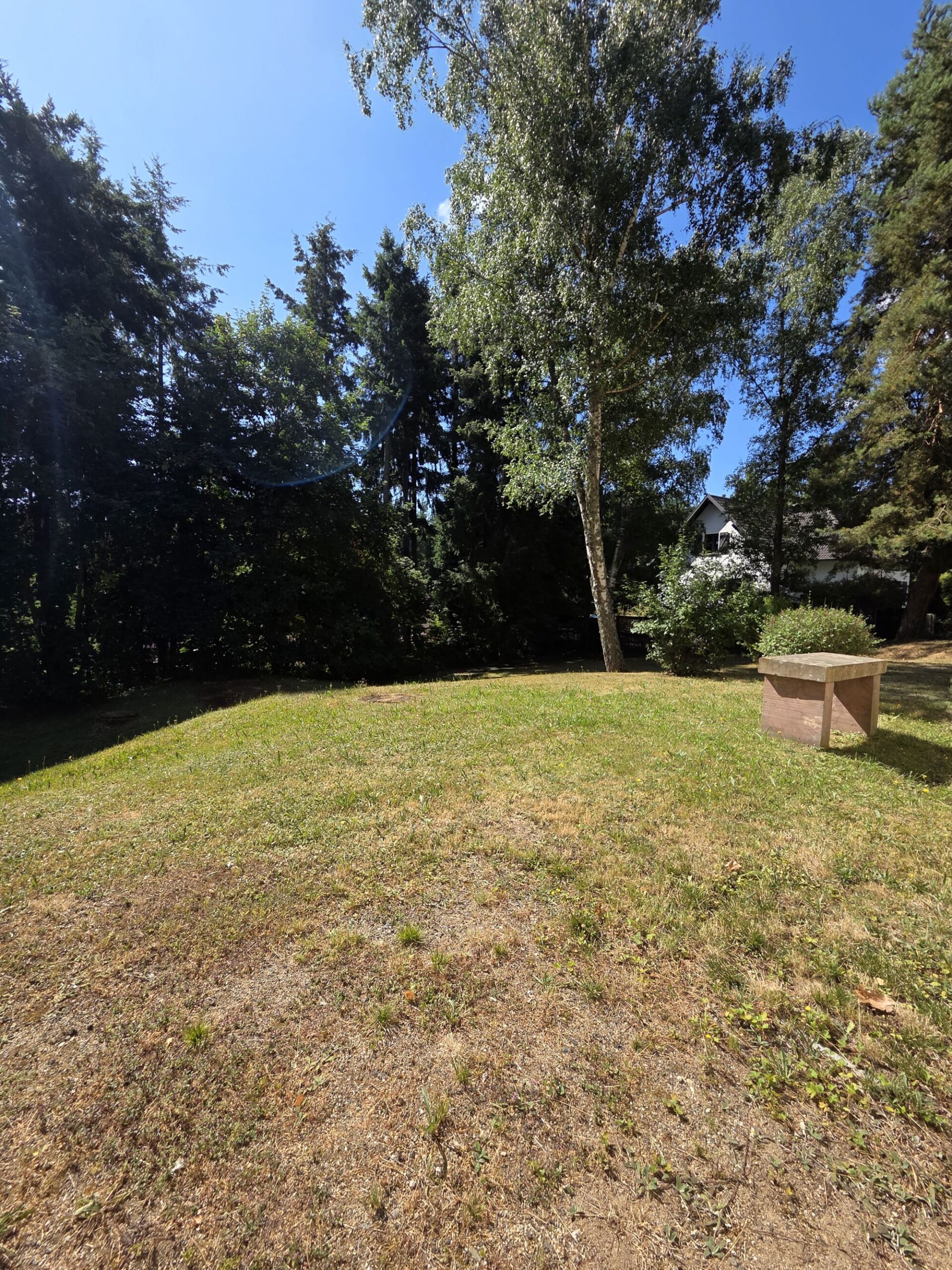 F1 dans un cadre verdoyant Andolsheim 0