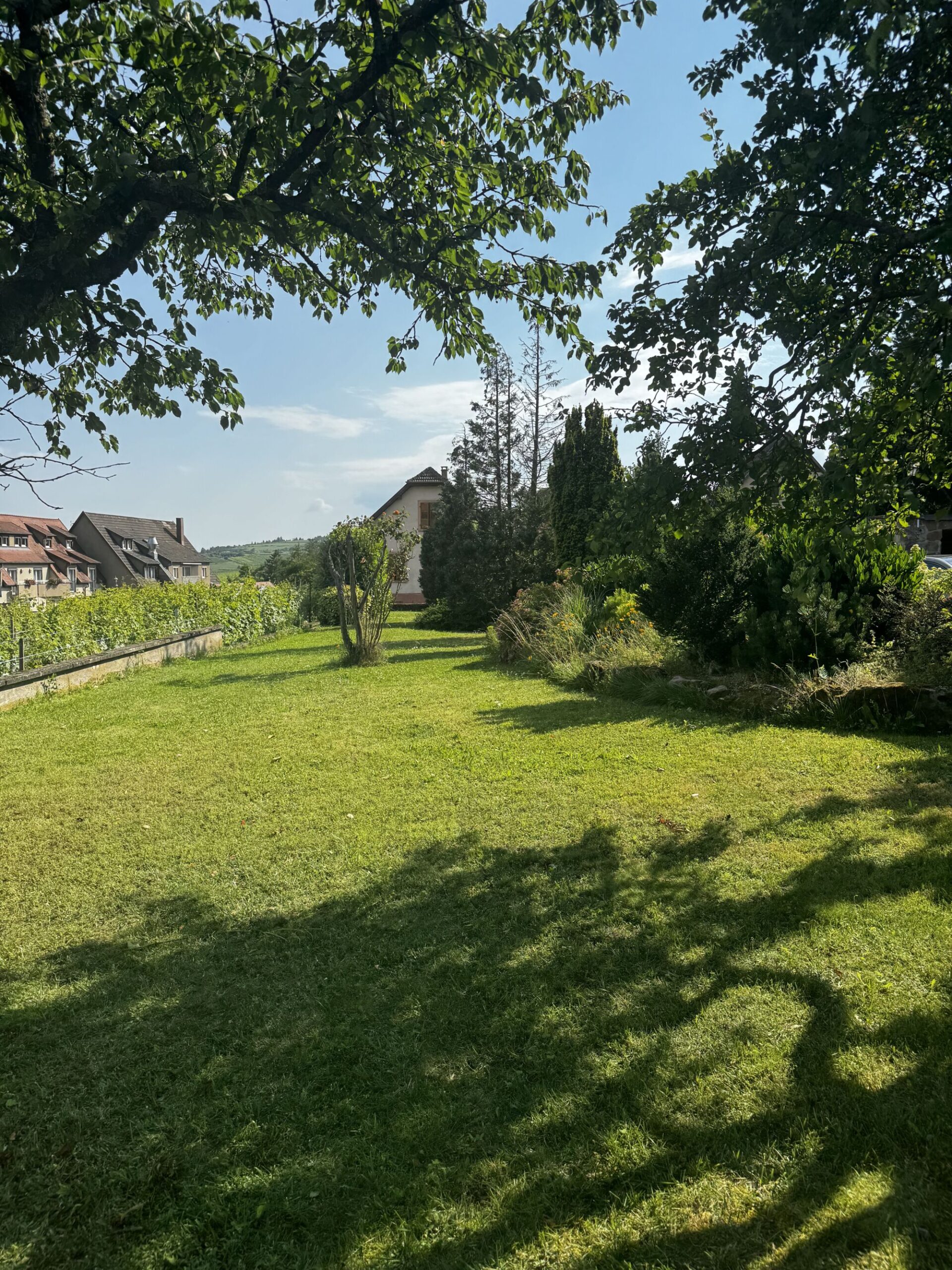 IMAGE00004 100X100 | Agence immobilière Pierre à Colmar VIGNOBLE – Maison SANS vis-à-vis avec une vue imprenable sur une parcelle de 16 ares Ribeauville 0