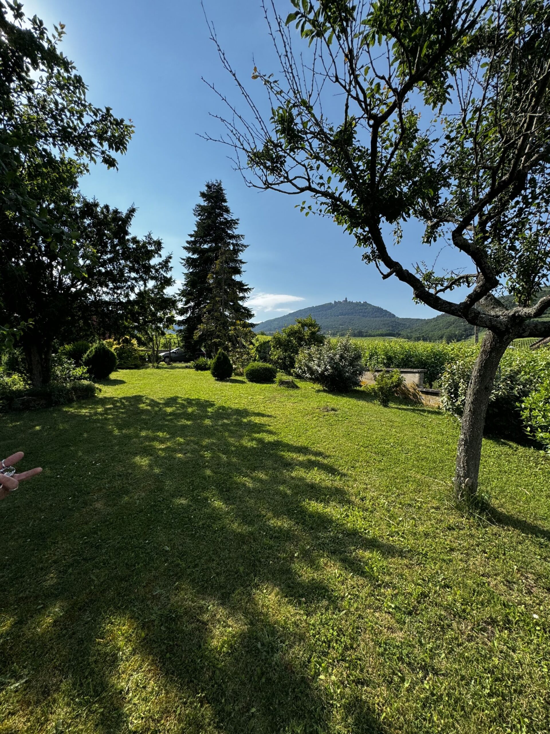 IMAGE00005 100X100 | Agence immobilière Pierre à Colmar VIGNOBLE – Maison SANS vis-à-vis avec une vue imprenable sur une parcelle de 16 ares Ribeauville 0