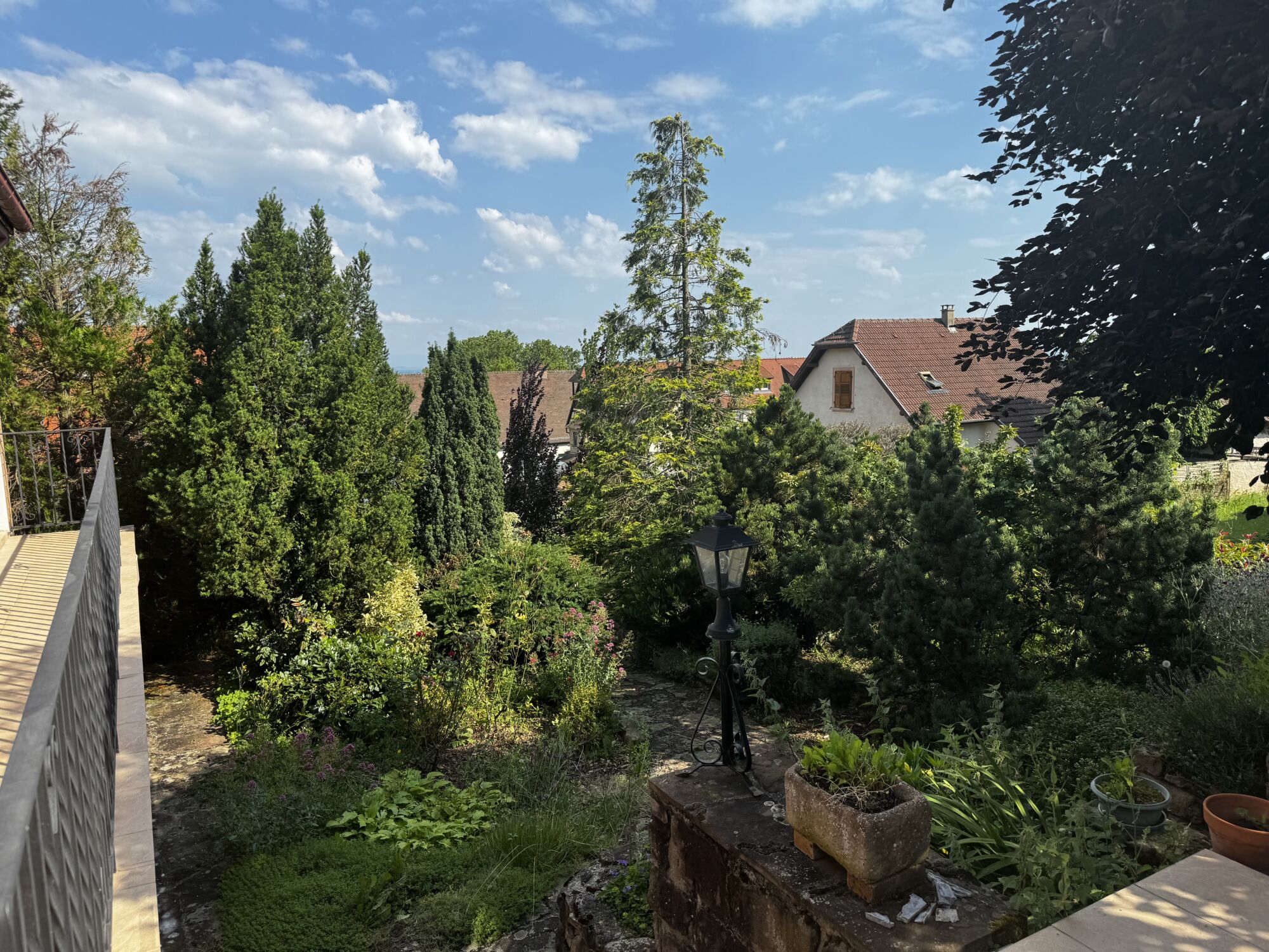 IMAGE00006 100X100 | Agence immobilière Pierre à Colmar VIGNOBLE – Maison SANS vis-à-vis avec une vue imprenable sur une parcelle de 16 ares Ribeauville 0