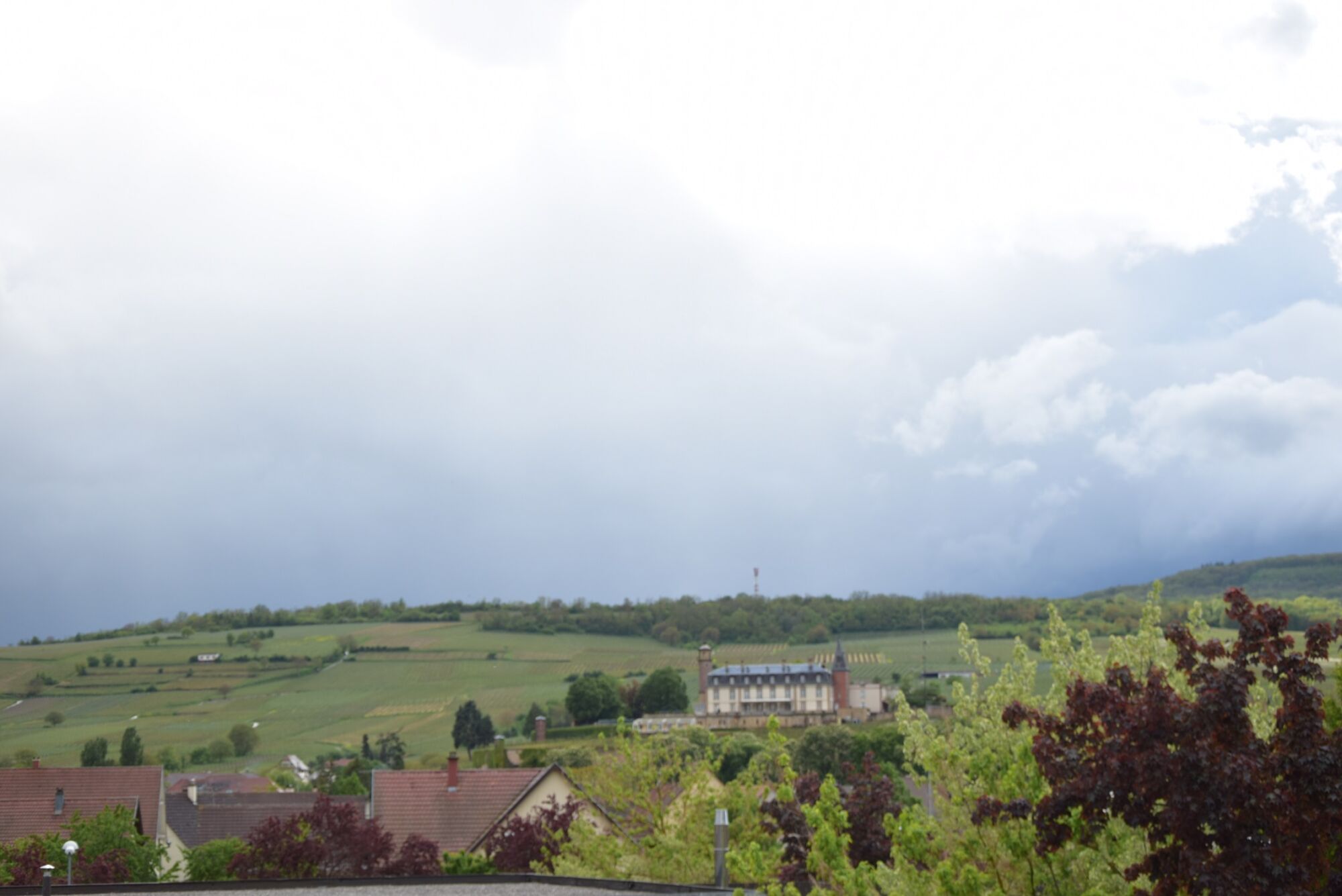 VUE OUEST.R 600X401 | Agence immobilière Pierre à Colmar ROUFFACH, A l’attique en dernier étage avec ascenseur et balcon avec vue Marckolsheim 0