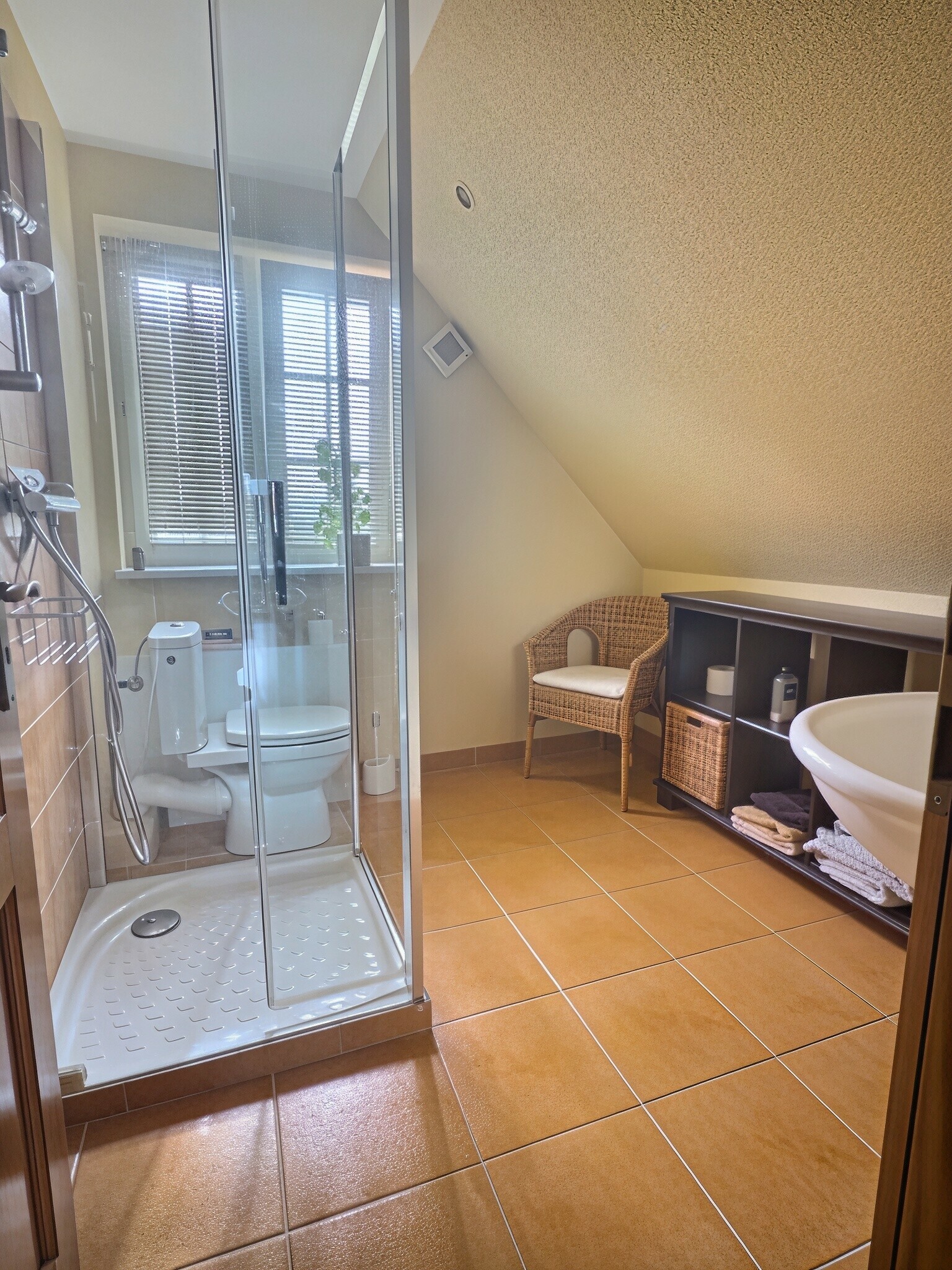 EXPOSIO_134414962 100X100 | Agence immobilière Pierre à Colmar Coquette maison de 160 m² à BALGAU Turckheim 0