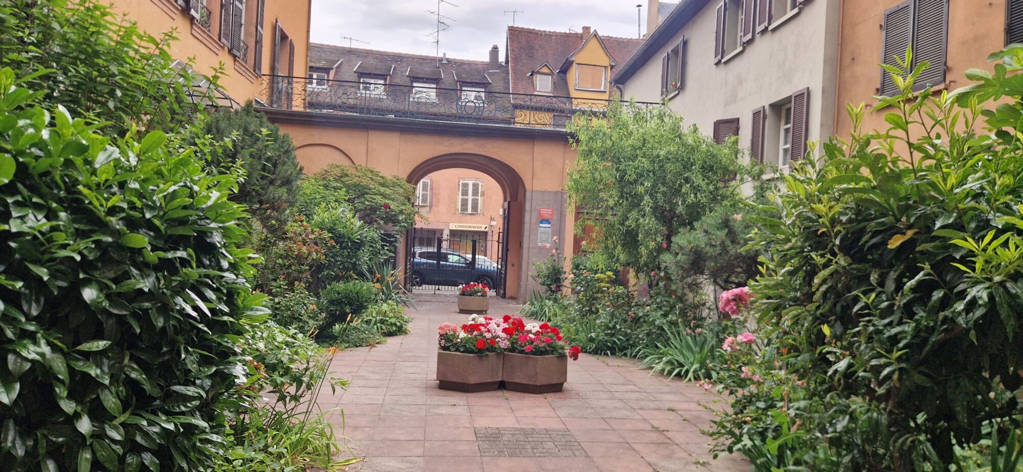 IMAGE00001 600X277 | Agence immobilière Pierre à Colmar COQUET STUDIO en plein centre ville de COLMAR Andolsheim 0