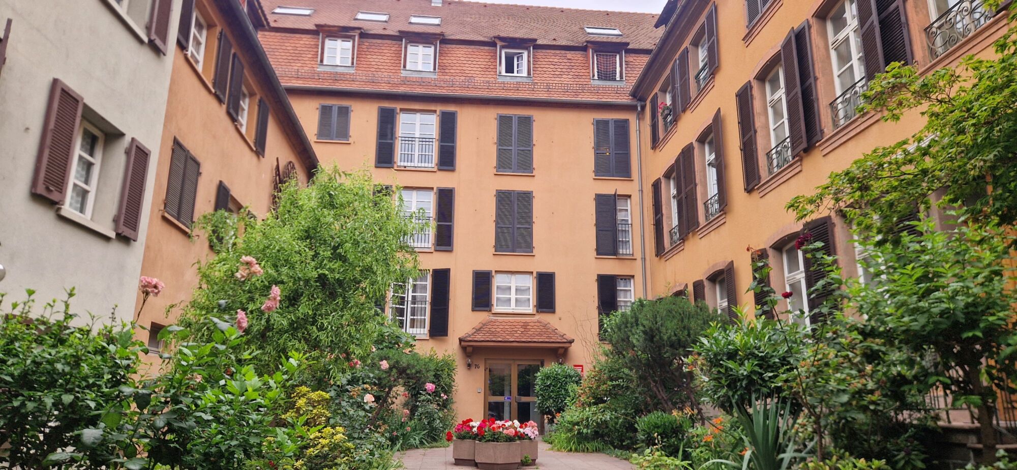 IMAGE00008 100X100 | Agence immobilière Pierre à Colmar COQUET STUDIO en plein centre ville de COLMAR Andolsheim 0