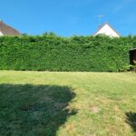 20260615_105120 150X150 | Agence immobilière Pierre à Colmar Maison de 145 m² avec gîte indépendant GARAGE sur plus de 7 ares Orbey 2